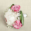 12.2IMG_3564.jpg