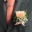2-13.IMG_3540-900x900.jpg