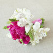 8.2IMG_3350.jpg